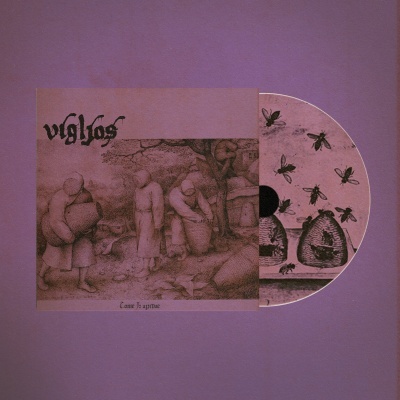 Vinil com capa ilustrada e disco violeta com colmeias e abelhas
