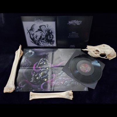 Conjunto de vinil com capas, discos, poster e ossos sobre fundo preto