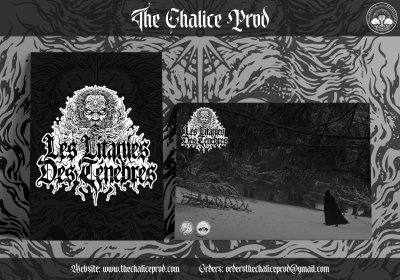 Capa de álbum musical com arte preta e branca e fotografia de neve com figura vestida de preto