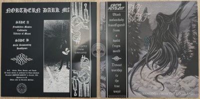 Capa de vinil preta e cinza com desenhos fantásticos e texto gótico, mostrando detalhes do álbum Threnodies from the Coldlands