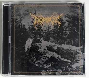 Capa de CD arte sombria floresta e figura caída texto dourado