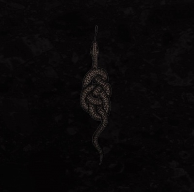 cobra cinza enrolada em nó sobre fundo preto