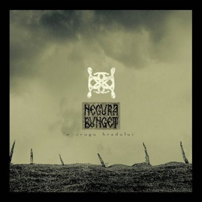 Capa com texto NEGURA BUNGET e fundo nebuloso escuro