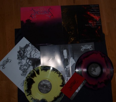 Dois discos de vinil coloridos com capas e ilustrações em papel, sobre chão de madeira