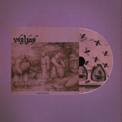 Vinil com capa ilustrada e disco violeta com colmeias e abelhas