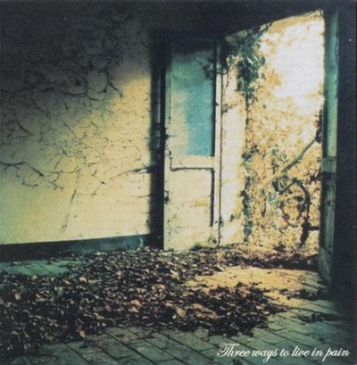 Porta antiga aberta com chão de madeira e folhas secas ao sol