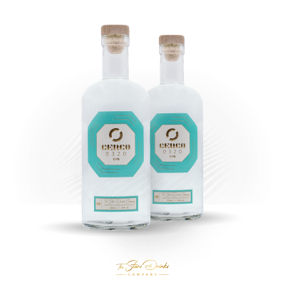 Duas garrafas de gin transparentes com rótulos azuis 