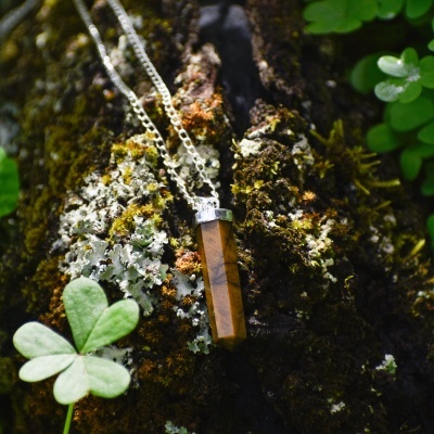 Colar com pendente de pedra marrom sobre musgo e tronco com líquenes