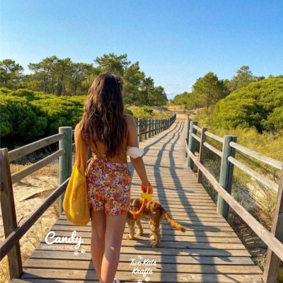 Mulher de vestido floral a andar com cão numa passadeira de madeira no campo