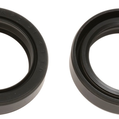 Dois anéis de vedação pretos em fundo branco