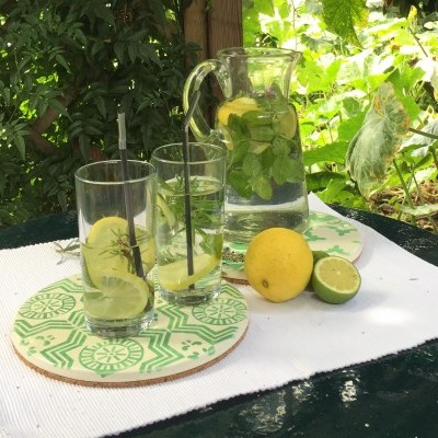 Conjunto de copos e jarra de vidro com limão e ervas em mesa ao ar livre