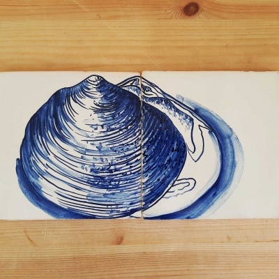 Dois azulejos brancos com ilustração azul de concha sobre superfície de madeira