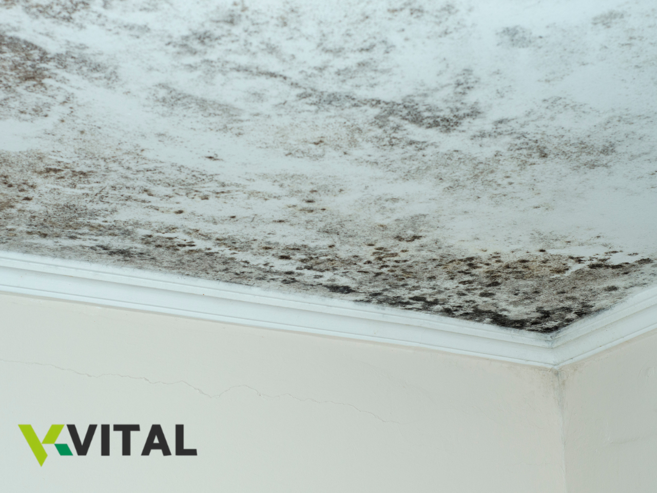 Teto branco com manchas de bolor e paredes brancas com fissuras