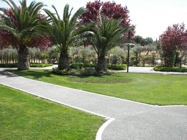 Caminho pavimentado entre relvado verde e árvores