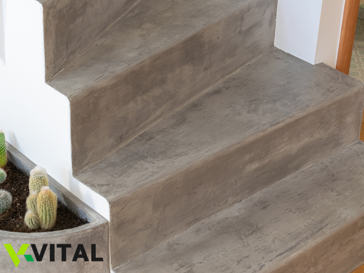 Escada interior em betão cinzento com textura lisa, parede branca, vaso com cactos ao lado.