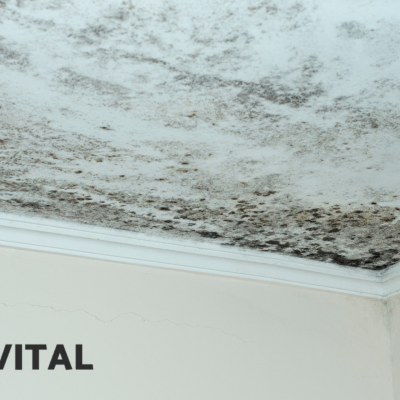 Teto branco com manchas de bolor e paredes brancas com fissuras