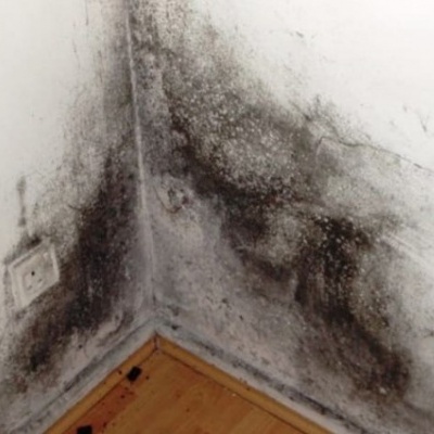 Parede com bolor preto em canto interior e chão de madeira clara