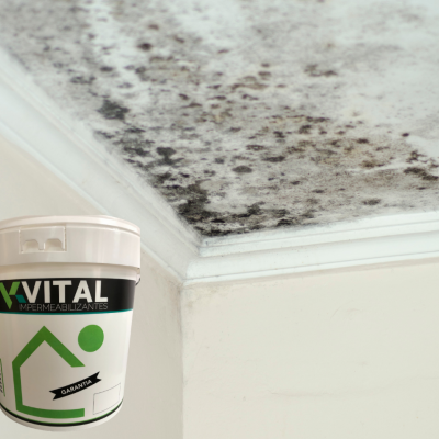 Plaf&#x20;Pintura&#x20;branco&#x20;perfeito,&#x20;&#x20;com&#x20;aditivo&#x20;Anti-fungos&#x20;15&#x20;e&#x20;4&#x20;LT