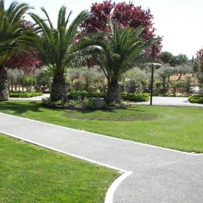 Caminho pavimentado entre relvado verde e árvores