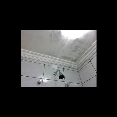 Decap&#x20;F&#x20;-&#x20;Fungos&#x20;e&#x20;Bolores&#x20;1&#x20;e&#x20;5&#x20;LT