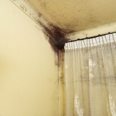 Plaf&#x20;Pintura&#x20;branco&#x20;perfeito,&#x20;&#x20;com&#x20;aditivo&#x20;Anti-fungos&#x20;15&#x20;e&#x20;4&#x20;LT