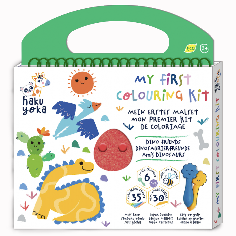 Kit de colorir infantil com desenhos de dinossauros e pássaros em caixa com alça verde