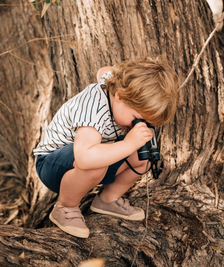 Criança a olhar para binóculos agachada numa árvore
