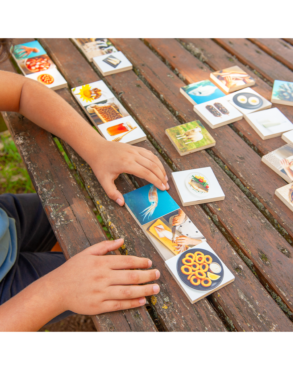 Jogo Educativo A Origem e Transformação dos Alimentos Origem Animal 16721 FSC Jogo Educativo A Origem e Transformação dos Alimentos Origem Animal 16721 FSC
