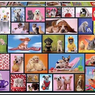 Caixa de puzzle EDUCA 1000 peças com fotos de cães e gatos
