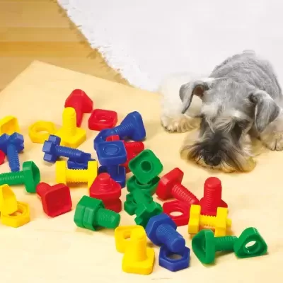 Parafernalha de plástico colorida e cão cinzento deitado em chão de madeira