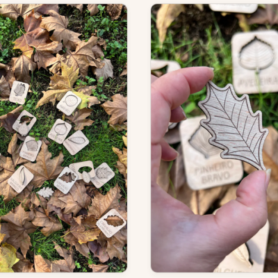 Peças de madeira gravadas com folhas e texto em português sobre relva e folhas secas