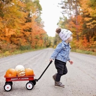 Criança a puxar carrinho vermelho com abóboras numa estrada com árvores outonais