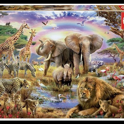 Caixa de puzzle EDUCA 3000 peças com imagem de animais selvagens na savana