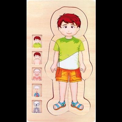 Puzzle de corpo humano em madeira com figura de menino e camadas internas