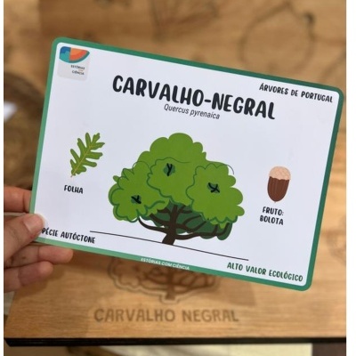 Cartão ilustrado da árvore carvalho-negral com detalhes da folha e fruto