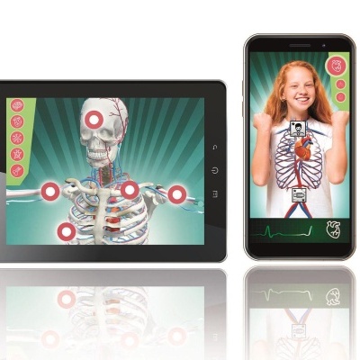 Dois dispositivos eletrónicos com gráficos anatómicos de esqueleto e sistema circulatório