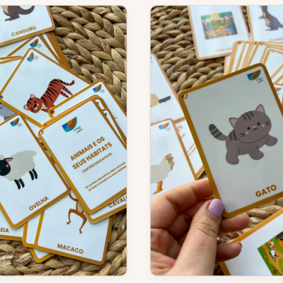 Cartas educativas com imagens de animais e habitats, texto em portugues, borda amarela.