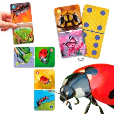 Cartas de jogo com fotos de insetos coloridos e uma mão segurando algumas cartas