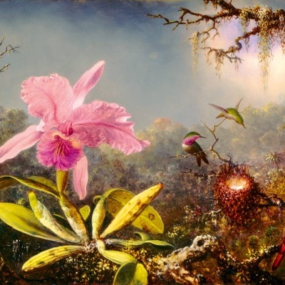 Quadro de pintura com orquídea rosa e beija-flores em floresta