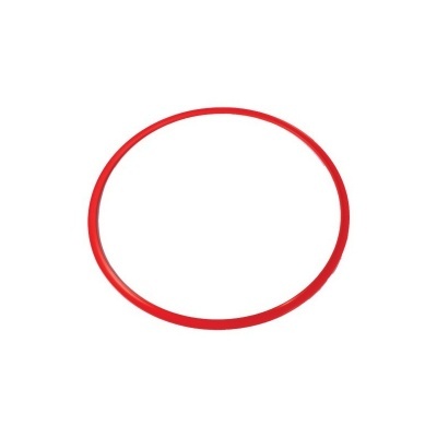 Anel circular vermelho em fundo branco