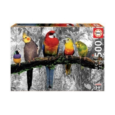 Caixa de quebra-cabeças de 500 peças com imagem de pássaros coloridos e fundo em preto e branco