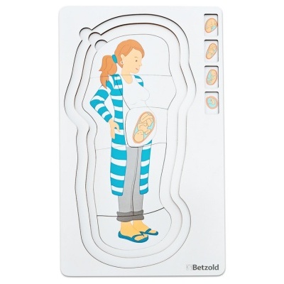 Quebra-cabeças em camadas com mulher grávida e fases do feto