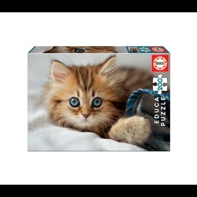 Caixa de puzzle com a imagem de um gatinho de olhos azuis e pelo castanho claro.