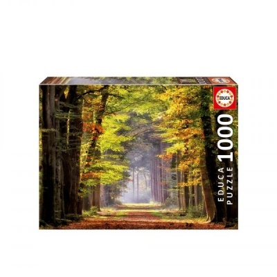 Caixa de puzzle EDUCA 1000 peças com imagem de floresta outonal
