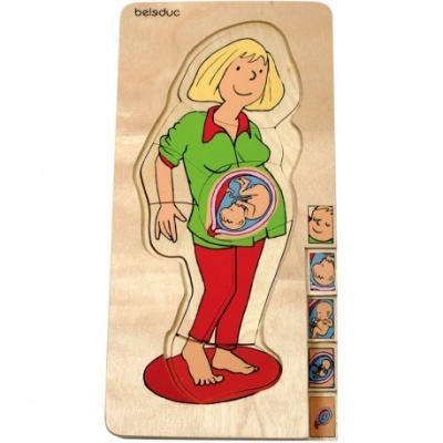 Quebra-cabeças de madeira de mulher grávida com desenvolvimento do bebé