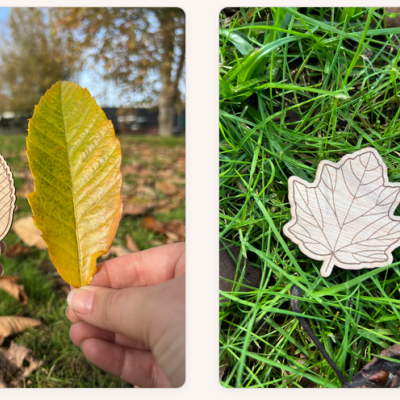 Pins de madeira com formato e gravação de folhas naturais sobre fundo de relva e folhas secas