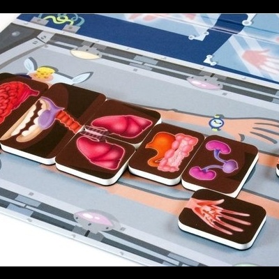 Cartas educativas com ilustrações de órgãos humanos sobre uma superfície azul.