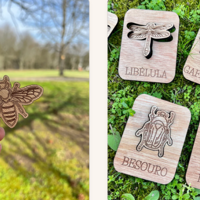 Desenhos em madeira de insetos com nomes em português, abelha em destaque numa mão ao ar livre