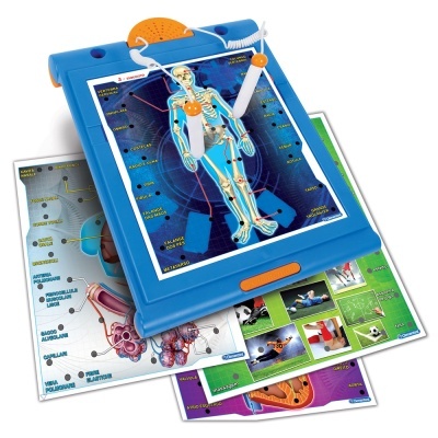 Conjunto educativo anatómico azul com folhas coloridas de órgãos e atividades