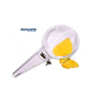 Lupa transparente com asa de borboleta amarela e insetos